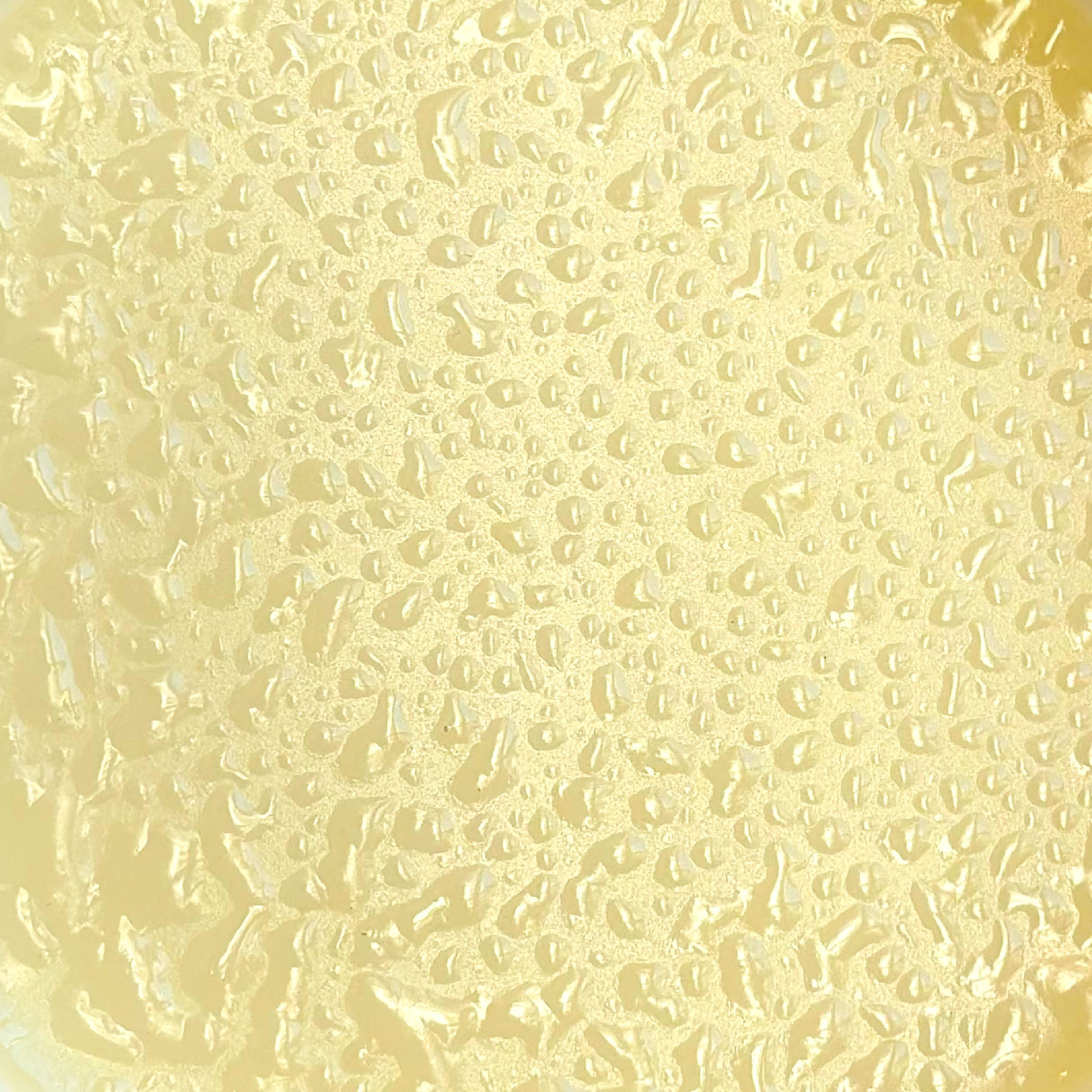 TABOHA Africa Pure Shea Butter & Coconut Oil Pomade