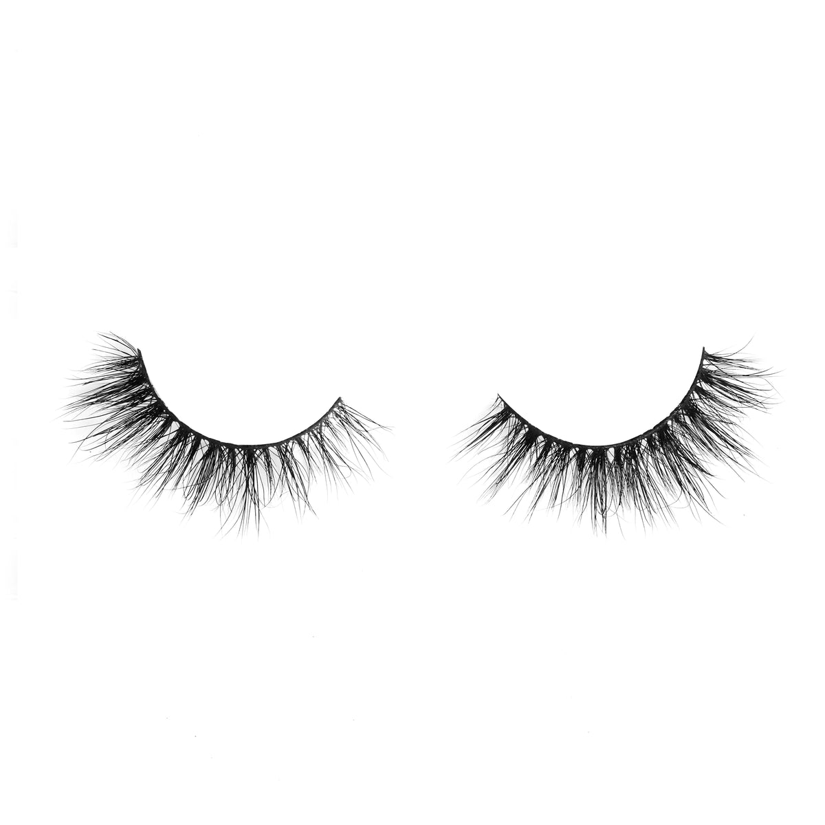 LASH DRAMA